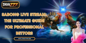 Sabong Live Stream: The Ultimate Guide for Professional Bettors